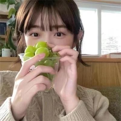 2024青春芒果节
